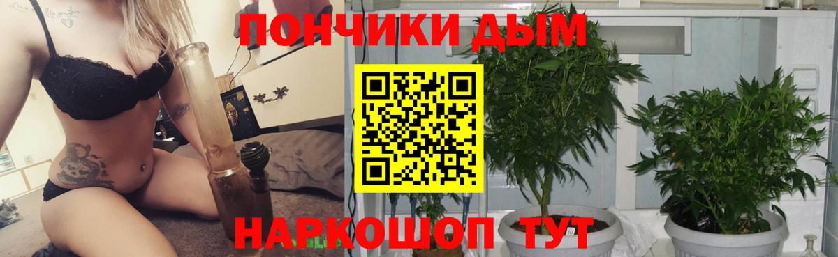 Шишки марихуана ГИДРОПОН Пушкино